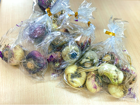 毎朝起きた時に体が重い！
疲れが抜けない！
なんか集中力が続かないって
感じるあなたへ！

千葉県産の生鮮マカ【葉なしマカ200g】