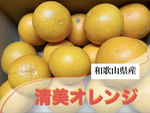 【今が旬】果汁たっぷり和歌山県産清見オレンジ！訳あり4kg
