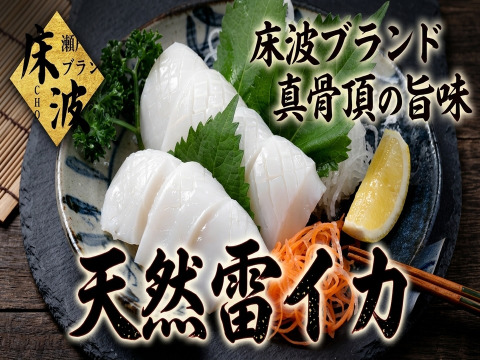【全国のイカ好きマニア注目】選び抜かれた天然国産『雷イカ』長州床波ブランド大容量パッケージ約400g【5月中旬予約】