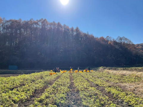 にんじんと玄米のスープ（6個）
