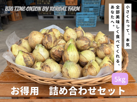 【Big Time Onion】お得用詰め合わせセット　5kg