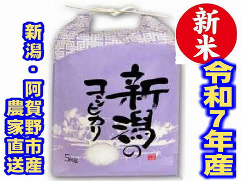 新潟県産　従来種コシヒカリ　店頭で入手するのは難しい希少米です。　令和7年産　白米5kg×２個★農家直送★色彩選別済（栽培が難しく、手間がかかるお米）