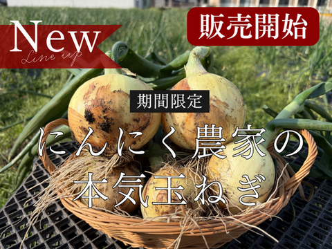【Big Time Onion】お得用詰め合わせセット　5kg