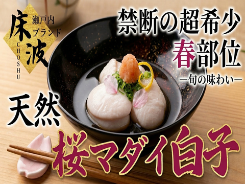 🐟禁断幻の大トロ白子🐟クリームを超えた旨味の宝庫超希少天然国産『桜真鯛大トロ白子』長州床波ブランド数量極少