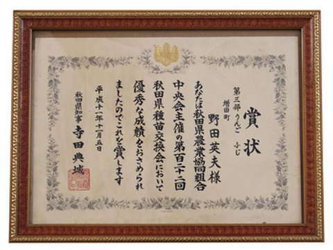 今目覚めた　シナノスイート5キロ　14～18玉　秋田県からすぐに食卓へ