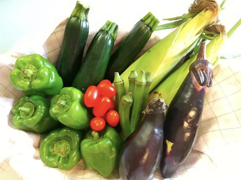 【伏姫さんが焼きコラボ！】野菜セットM×さんが焼きセット！！