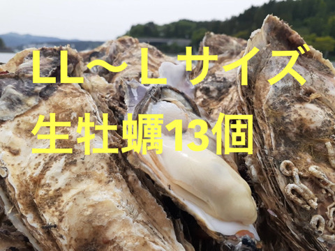 Lサイズ13個入り　生食用　東北有数生牡蠣の名産地　南三陸産　真牡蠣13個