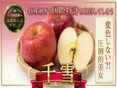 🍎まずお目にかかれない幻の王女"千雪"🍎永遠の美白を持つ眼福高級りんご～品種指定キャンペーンお試し特価～🍎【冬ギフト】【家庭用・贈答用】【11月上旬予約】