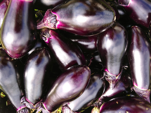 自然栽培の野菜と加工品のセット