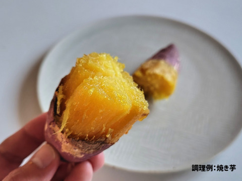 【訳ありＢ品】熟成不要のさつま芋「あまはづき5kg」（虫害・割れ・キズあり、小～中サイズ、栽培期間中農薬・肥料不使用）