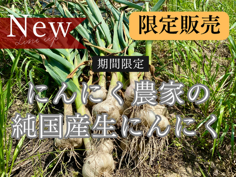 【期間限定】幻の生にんにく　讃岐平戸　1kg