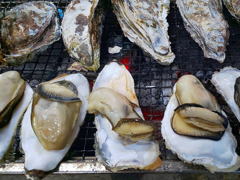 【ゲン担ぎ福袋】【福袋】ワイズユースの湿地の恵みセット①北海道根室市温根沼産カキ（2L：10個）・豆アサリ1キロ