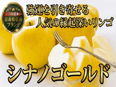 🍎リピート確定シナノゴールド🍎高糖度×柑橘系の酸味で富裕層も好む贈り物として人気の縁起深い高級林檎～品種指定キャンペーン大容量パッケージ～【家庭用・贈答用】【4月下旬予約】