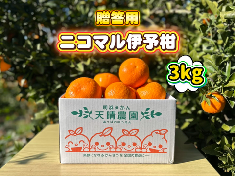 🍊香り推し🍊伊予柑　贈答用 3kg