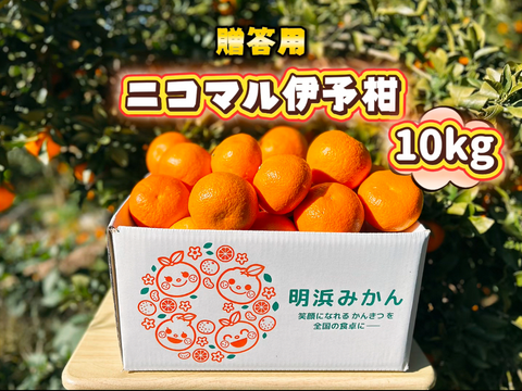 🍊香り推し🍊伊予柑　贈答用 10kg