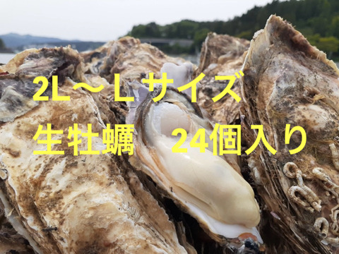 2L〜Lサイズ24個入り　生食用　大サイズ　東北有数生牡蠣の名産地　南三陸産　24個入り