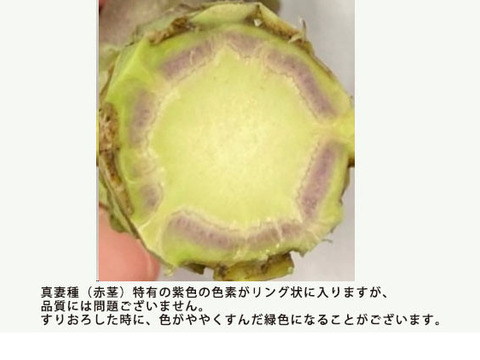 送料関税無料】 お試し商品】葉わさび（花わさび）300g 八溝