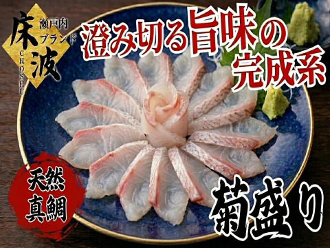 🌸料亭級の一皿をご自宅で🌸旬をそのまま咲かせた天然国産『桜マダイ菊盛り』長州床波ブランドお刺身約150g×2皿【3月中下旬予約】