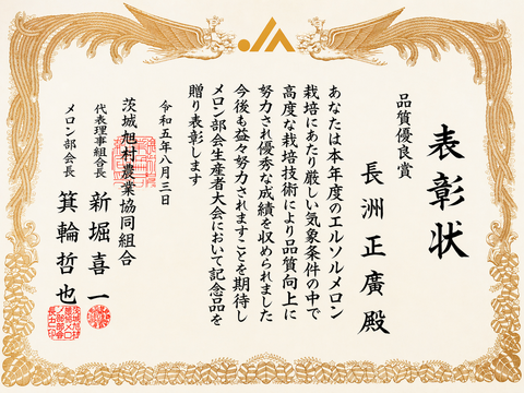 【令和5年 品質優良賞受賞】果汁たっぷり春メロン 茨城県産 アンデスメロン【特秀】1玉