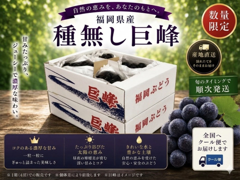 【先行予約受付中】旬の高級ぶどう/種無し巨峰　8月25日〜