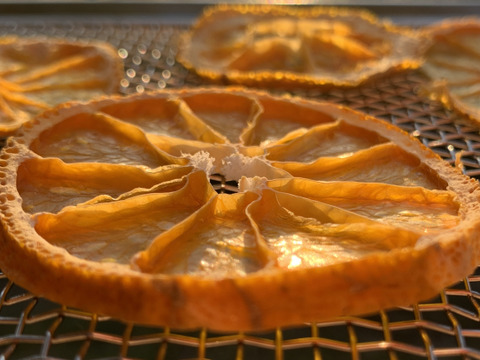 【訳あり】砂糖不使用なのに甘〜い！ドライみかん 100g〈農薬・化学肥料不使用〉