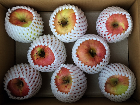 【この1箱のみ】栽培期間中肥料・農薬不使用の大玉フジぐんま名月約３キロ箱　8玉