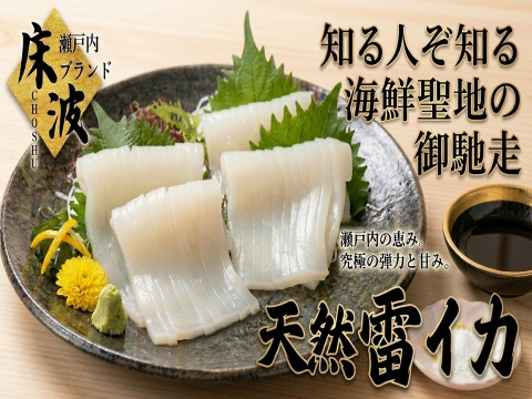 【リピーター続出必至】元料理×漁師の目利きによって完成する逸品🌊天然国産『雷イカ』長州床波ブランお試しキャンペーンお刺身約200g【5月中旬予約】