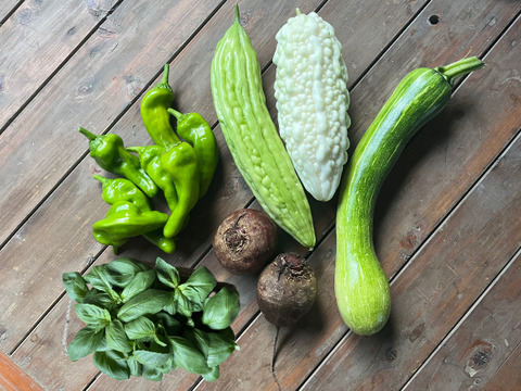 ちょっとめずらしい夏野菜セットS 【5-6種】　農薬不使用栽培