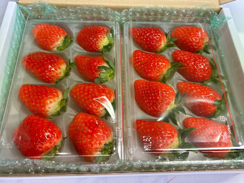 甘くてたまらん！！旬のイチゴセット(2パック)