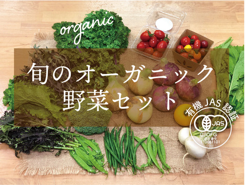 (Aya＆Akiさま専用)オーガニックサラダセット/ビーツ/野菜セットM/黒人参　【有機JAS認証】