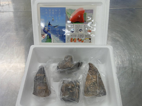 B1カツオ藁焼き4ブロック