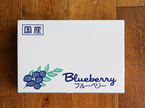 農薬不使用｜仙台市秋保産ブルーベリー｜120ｇｘ4パック合計480ｇ｜化粧箱冷蔵配送