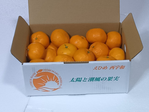 爽やか風味！濃厚な味わいヒメマル【はれひめ】家庭用・3Kg