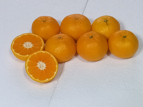 爽やか風味！濃厚な味わいヒメマル【はれひめ】家庭用・3Kg