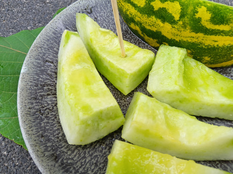 パパイヤメロン　肥料農薬不使用、自家採種
