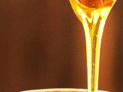 非加熱　生はちみつ　岡山百花蜜　500g×2本［神の使いHoney］