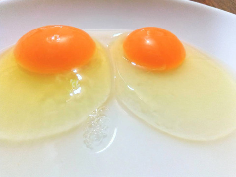 (常温配送)出荷日当日の朝採りお届け致します☆平飼い濃厚卵　岡崎おうはん30個＋割れ保証