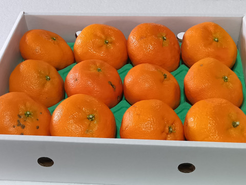 プチプチ甘～い！ひめまる甘平【訳あり・家庭用３Kg】