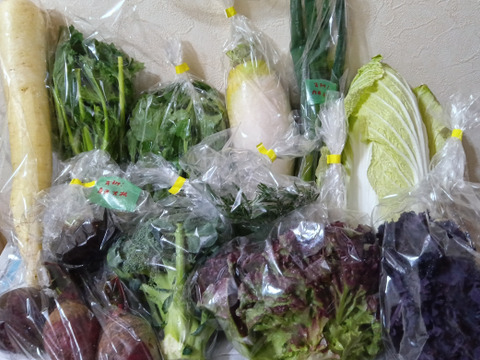 【初回限定BOX】シェフ御用達！医療人が栄養価にこだわった【旬の機能性野菜9~10品目セット】