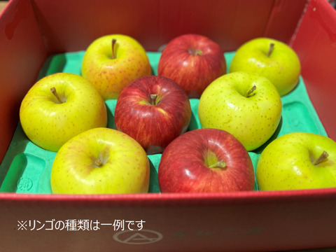 【欲ばり！旬りんご2～3種詰合せセット】（2kg・6～9個入り）パリパリ・ジューシーお得な家庭用