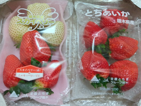 特選セット
とちあいかとスカイベリー+白いちご
【いちご食べ比べ】