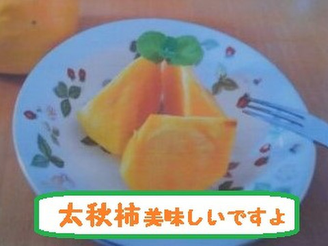 甘柿『 太秋柿 』甘くて美味しい　小箱サイズ４Ｌ・５個・１.６kg以上化粧箱入り