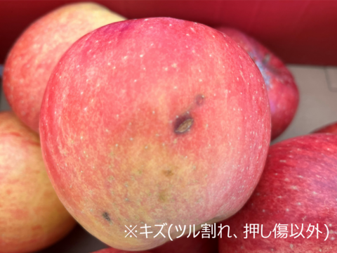 【訳あり】【欲ばり！旬りんご2種詰合せセット】（5kg・14～20個入り）パリパリ・ジューシー超お得な家庭用