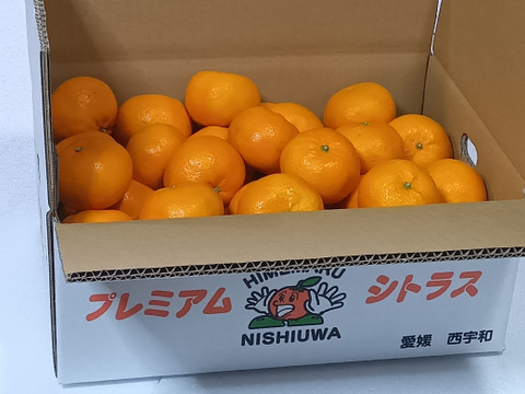 濃厚果汁！南津海　ご家庭用　小玉・５Kg