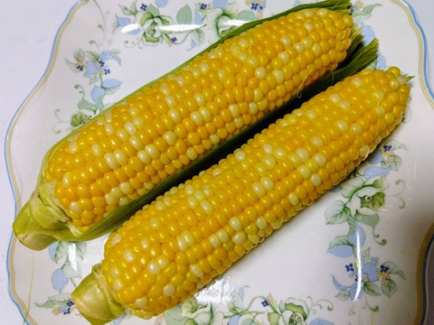 あま～い朝採りスイートコーン　６本入り