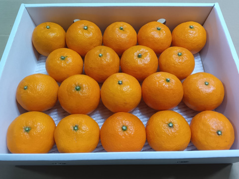 濃厚果汁！南津海（なつみ）優品3Kg