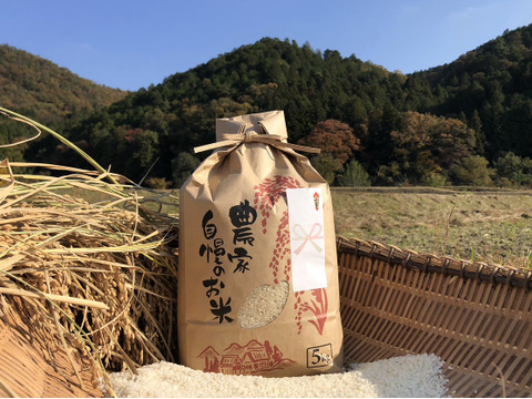 ❤️特別栽培令和6年新米5kg×2超大粒“米王”‼️甘くてモチモチ、香りの良い能勢天神米「いのちの一粒」（品種名:いのちの壱）白米。