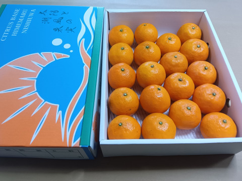 濃厚果汁！南津海（なつみ）優品3Kg