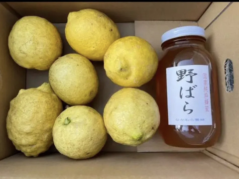 檸檬2キロと野バラ国産純粋蜂蜜1.2