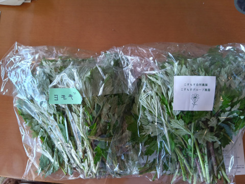 よもぎ生葉🌿30本（30苗）（約200g）以上🌿蓬☆上から15cmの柔らかいヨモギ🌿和ハーブ「ハーブの女王」高いデトックス・冷え性改善、抗酸化作用ビタミンK鉄分クロロフィル☆畑横の人が通らない林
